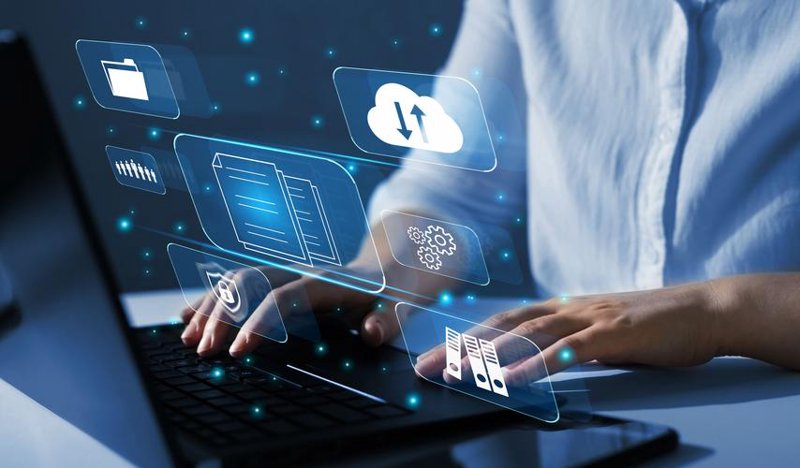 软件定制：构建专属数字翅膀